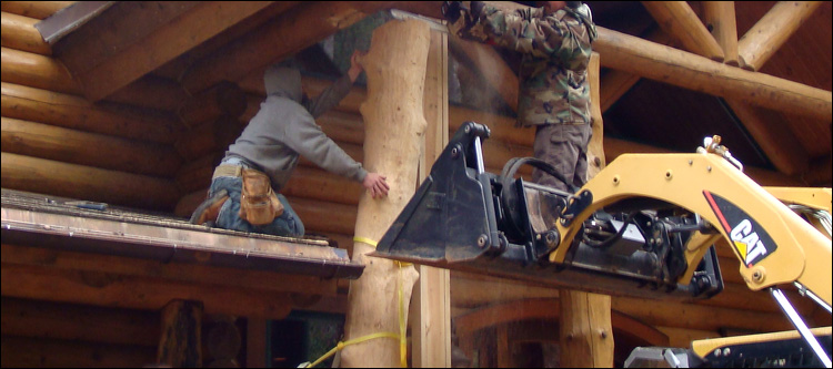Log Home Log Replacement  Mount Solon, Virginia