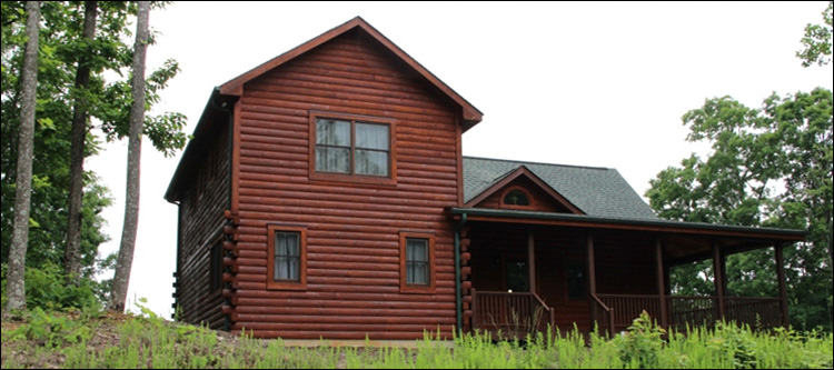 Professional Log Home Borate Application  Swoope, Virginia